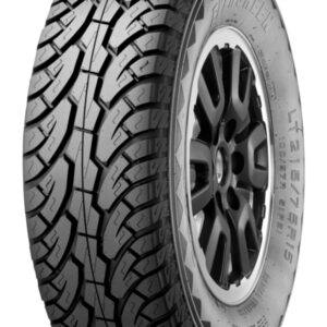 Evergreen 31X10,50 R15 ES89 109R TL