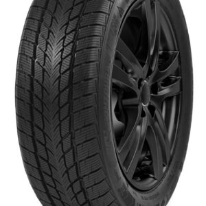 Davanti 165/60 R14 Wintoura 79H XL TL